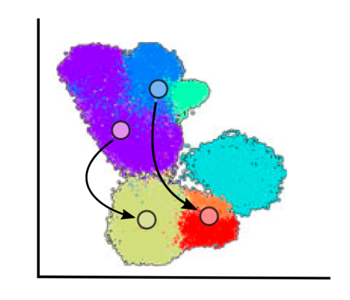 Lineage Graph